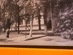 -天津大学·四十二斋餐厅