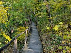 -吊水壶国家森林公园