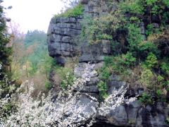 -梭布垭石林景区