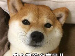 -福禄财东北菜(珠江帝景店)