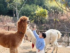 -天目湖涵田度假村