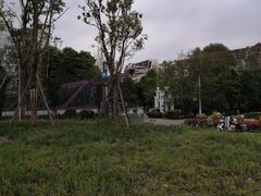 -神仙树公园
