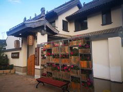-五龙城郊森林公园
