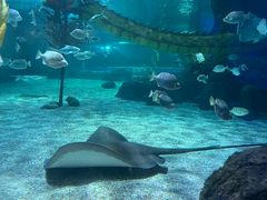 -常州海昌海洋探索馆