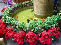 -古莲·影院足道·按摩SPA(水上温泉店)