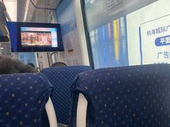 -临平南高铁站(地铁站)