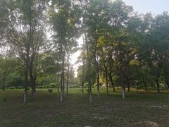 -莫子山公园