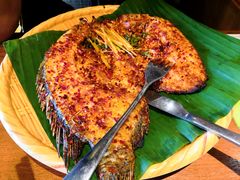 -云海肴·汽锅鸡·云南菜(天山百盛优客店)