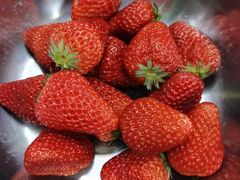 -百果园(板桥路蓝水湾店)