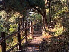 -北京十三陵国家森林公园蟒山景区