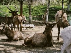 -北京野生动物园