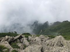 -秦岭风景区