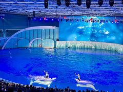 -海合安青岛极地海洋公园