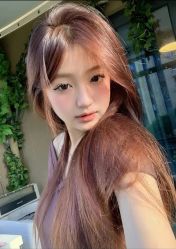 -木北造型