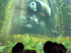 -珠海横琴国家地理探险家中心(创新方)