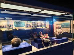 -鄂尔多斯青铜器博物馆