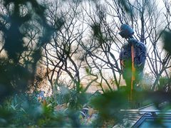 -三鹰之森吉卜力美术馆