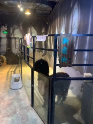 -酷嗒动物文化乐园(cutezoo西溪乐天城店)