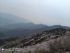 -阳台山自然风景区
