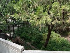 -香山公园