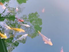 -杭州西湖柳莺里酒店