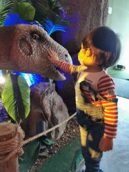 -恐龙探索乐园(磁器口店)