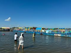 -呼兰河口湿地公园