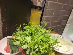 -雾都渣渣火锅(南城智汇城店)