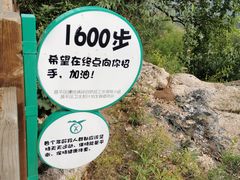 -大岭沟猕猴桃谷风景区