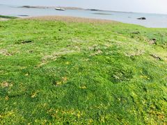 -日照灯塔风景区