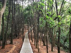 -火炉山森林公园