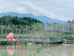 -牛岗山公园