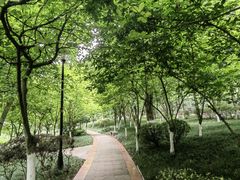 -龙头寺公园