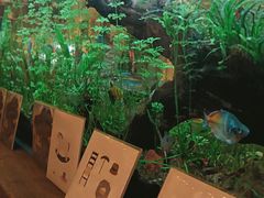 -懒鱼时光馆(沙坪坝店)