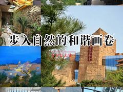 -北京中信金陵酒店