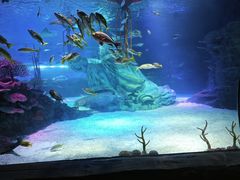 -沈阳海洋探索中心