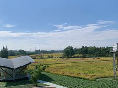 -中国天府农业博览园