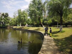 -安徽大学(龙河校区)