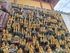 -上海东林寺(金山区)