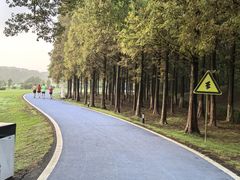 -宜兴龙背山森林公园