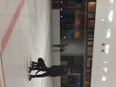 -TheRink大零溜冰场(IFS国金中心店)