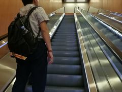 -香港大学