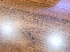 -筋牛座(富绅商业中心店)