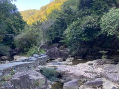 -广州白江湖森林公园