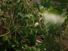 -上海昆虫博物馆