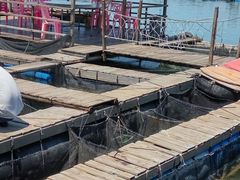 -海上驿站渔家菜馆