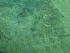 -白鹤梁水下博物馆