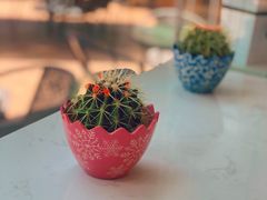-妙井の茶(罗湖地王店)
