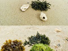 -花海间·即刻露营