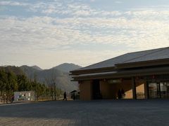 -千年银杏谷文化旅游区